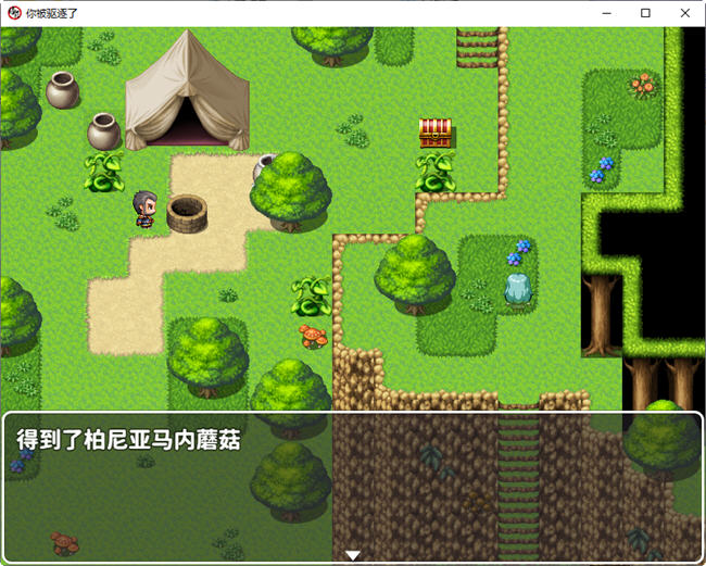 图片[2]-你被驱逐了 官方中文作弊版 PC+安卓 RPG游戏 1.2G-咔游